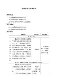 北师大版 (2019)必修1《分子与细胞》第四节 细胞骨架与内膜系统教案