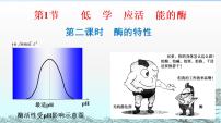 生物必修1《分子与细胞》第五章 细胞的能量供应和利用第1节 降低化学反应活化能的酶二 酶的特性示范课ppt课件