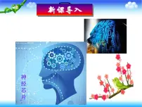 人教版 (2019)选择性必修3科技探索之路 基因工程的诞生和发展教课课件ppt