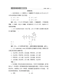 人教版 (2019)必修1《分子与细胞》第5章 细胞的能量供应和利用第2节 细胞的能量“货币”ATP复习练习题