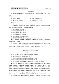 高中生物人教版 (2019)必修1《分子与细胞》第5章 细胞的能量供应和利用第4节 光合作用与能量转化二 光合作用的原理和应用第1课时课时练习