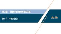 高中生物人教版 (2019)必修2《遗传与进化》第3节 伴性遗传教案配套课件ppt
