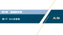 人教版 (2019)必修2《遗传与进化》第3章 基因的本质第3节 DNA的复制课文配套课件ppt