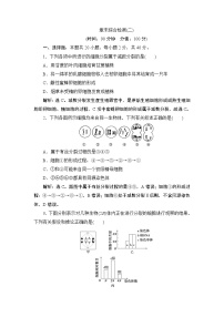 人教版 (2019)必修2《遗传与进化》第2章 基因和染色体的关系本章综合与测试学案