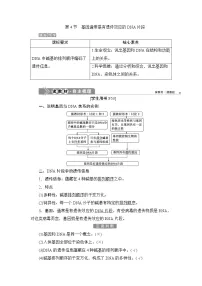 生物第4节 基因通常是有遗传效应的DNA片段导学案