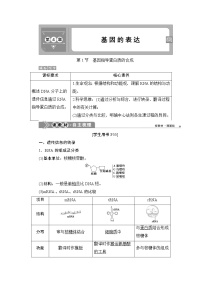 高中生物人教版 (2019)必修2《遗传与进化》第1节 基因指导蛋白质的合成导学案