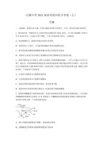 2021届重庆市巴蜀中学高三高考适应性月考卷（七）生物试题 PDF版