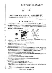 2021届湖南省长沙市雅礼中学高三上学期第五次月考生物试题 PDF版