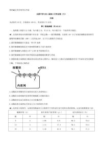 2021届湖南省长郡中学高三下学期月考试卷（六）生物试题 PDF版