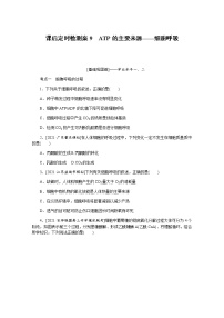 【新教材】2022届新高考生物一轮复习课后检测：9+ATP的主要来源——细胞呼吸+Word版含解析