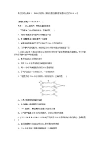 【新教材】2022届新高考生物一轮复习课后检测：21+DNA的结构、复制及基因通常是有遗传效应的DNA片段+Word版含解析