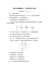 【新教材】2022届新高考生物一轮复习课后检测：24+染色体变异与育种+Word版含解析