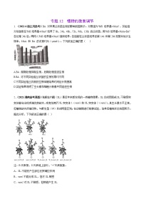 专题12植物的激素调节-三年(2019-2021)高考生物真题分项汇编(原卷版)