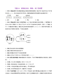 专题06细胞的分化、衰老、凋亡及癌变-三年（2019-2021）高考生物真题分项汇编（原卷版）