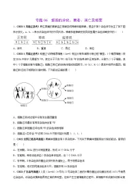 专题06细胞的分化、衰老、凋亡及癌变-三年（2019-2021）高考生物真题分项汇编（原卷版）