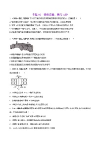 专题02物质运输、酶与ATP-三年（2019-2021）高考生物真题分项汇编（原卷版）