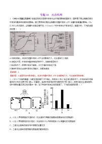 专题04光合作用-三年(2019-2021)高考生物真题分项汇编(解析版)