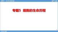 2022届高三二轮复习生物：专题5细胞的生命历程 课件