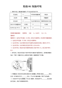 精做01 细胞呼吸-备战2022年高考生物大题精做（解析版）