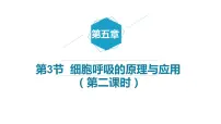 高中第3节 细胞呼吸的原理和应用评课ppt课件