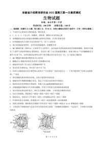 2022届安徽省六校教育研究会高三上学期8月第一次素质测试生物试题 PDF版