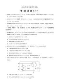 2020届山东省泰安肥城市高三适应性训练（二）生物试题 PDF版