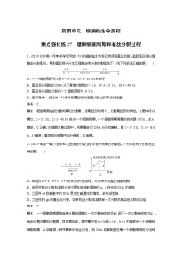 2022届高考生物一轮复习专题训练27　理解细胞周期和有丝分裂过程（解析版）