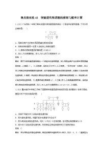 2022届高考生物一轮复习专题训练42　突破遗传系谱图的推断与概率计算　　（解析版）