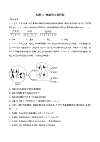 专题03 细胞的生命历程-五年(2017-2021)高考生物真题分项详解(全国通用)(原卷版)