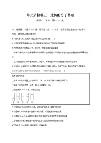 2022届高考生物一轮总复习  单元质检卷五　遗传的分子基础