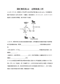 2022届高考生物一轮总复习 课时规范练41 动物细胞工程