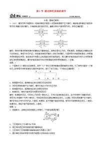 高中生物人教版 (新课标)必修3《稳态与环境》第1节 通过神经系统的调节练习题