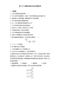 人教版 (2019)必修1《分子与细胞》第5节 核酸是遗传信息的携带者优秀课后测评