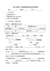 人教版 (2019)必修1《分子与细胞》第5节 核酸是遗传信息的携带者学案