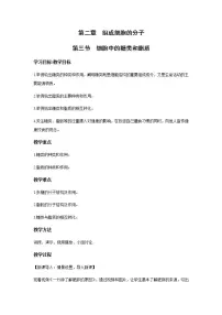 生物必修1《分子与细胞》第3节 细胞中的糖类和脂质教案设计