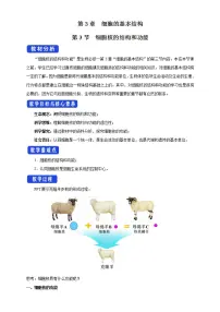 高中生物人教版 (2019)必修1《分子与细胞》第3节 细胞核的结构和功能教案