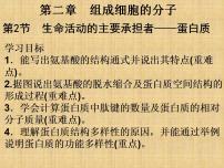 高中生物人教版 (2019)必修1《分子与细胞》第4节 蛋白质是生命活动的主要承担者图片ppt课件