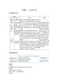 2022版高考生物选考江苏专用一轮总复习集训：专题6光合作用 —基础集训