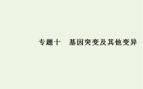 2022届新教材高考生物一轮复习专题十基因突变及其他变异课件