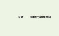 2022届新教材高考生物一轮复习专题三细胞代谢的保障课件