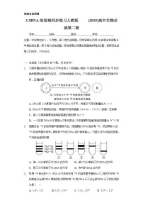 高中生物第3节 DNA的复制习题