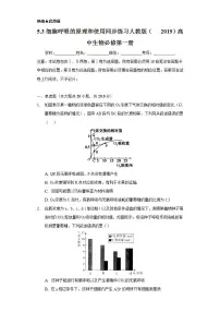 高中生物人教版 (2019)必修1《分子与细胞》第3节 细胞呼吸的原理和应用优秀课后测评