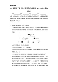 苏教版 (2019)必修2《遗传与进化》第一章 遗传的细胞基础第四节 基因位于染色体上本节综合与测试练习