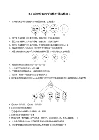 人教版 (2019)必修2《遗传与进化》二 受精作用同步测试题