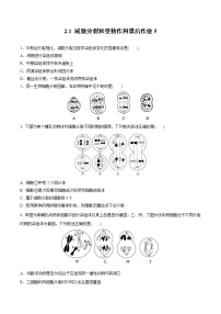 人教版 (2019)必修2《遗传与进化》一 减数分裂课时作业