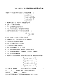 高中生物人教版 (2019)必修2《遗传与进化》第3节 DNA的复制练习