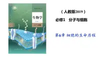 人教版 (新课标)必修1《分子与细胞》第2节 细胞的分化图片课件ppt