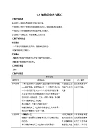 生物必修1《分子与细胞》第六章 细胞的生命历程第3节 细胞的衰老和凋亡教学设计