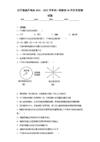 辽宁省葫芦岛市2021–2022学年高一实验班10月月考生物试题（word版含答案）