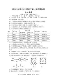 2022届陕西省西安中学高三上学期第一次月考生物 试题 PDF版含答案